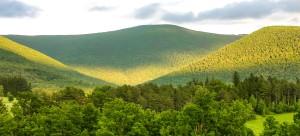 Greylock Summer